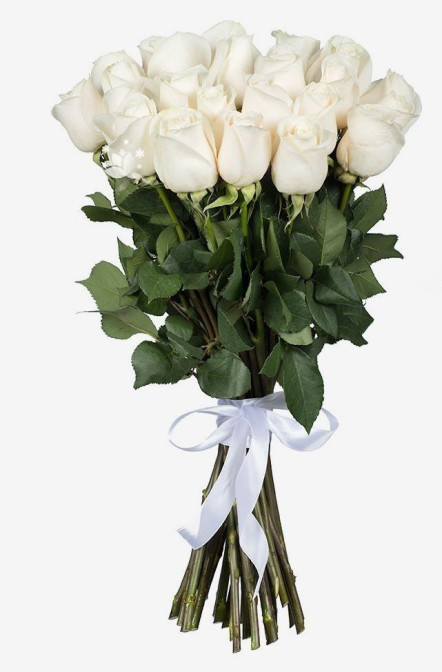25 Bele ruže