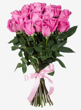 Pink ruže Image