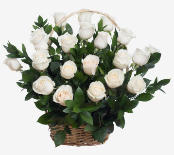 Korpa belih ruža