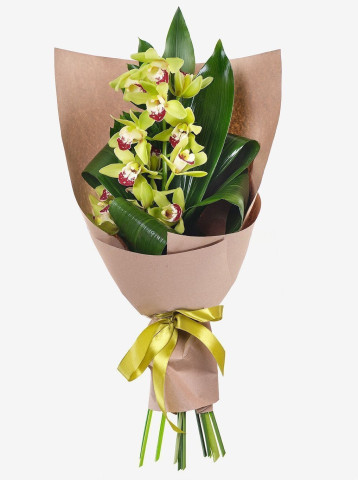 Очаровательная орхидея