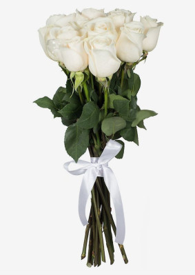 11 Bele ruže Image