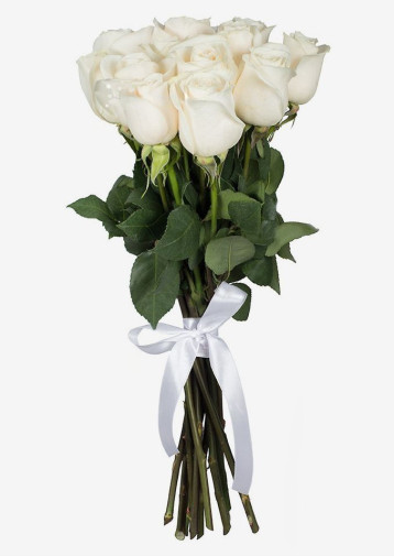 11 Bele ruže